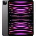 Apple iPad Pro 11 256GB [Wi-Fi, Modell 2022] space grau