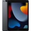 Apple iPad 10,2 64GB [Wi-Fi + Cellular, Modell 2021] space grau