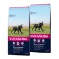 EUKANUBA Trockenfutter Hund Large Breed Puppy, Huhn 2x15 kg