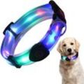 Hundehalsband Leuchtend Aufladbar USB, LED Halsband für Hunde Einstellbare Wasserdicht, Halsband Hund Leuchtend für Kleine Mittlere Große Hunde - Blau