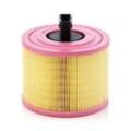 MANN-FILTER Luftfilter 176mm für BMW 13717536006 C 18 114