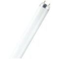 OSRAM Leuchtstoffröhre EEK: G (A - G) G13 36 W Warmweiß Röhrenform (Ø x L) 26 mm x 1213.5 mm 1 St.