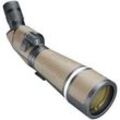 Bushnell Forge 20–60 x 80 Gelände Dachkantprisma - 45 Grad | ✔️ Temporär mit 130 € gratis geschenkbox