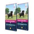 EUKANUBA Trockenfutter Hund Large Breed Adult, Huhn 2x15 kg