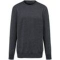 Pullover aus 100% Premium-Kaschmir Peter Hahn Cashmere grau