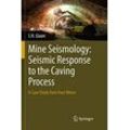 S.N. Glazer - Mine Seismology: Seismic Response to the Caving Process: A Case Study from Four Mines