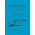 Simon Timberlake - Excavations on Copa Hill, Cwmystwyth (1986-1999): An Early Bronze Age copper mine within the uplands of Central Wales (BAR British)