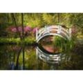 Fototapete PAPERMOON "GARTEN-NATUR LANDSCHAFT WALD BÄUME BLUMEN BRÜCKE SEE", bunt, B:2,50m L:1,86m, Vlies, Tapeten