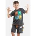 Hausanzug DENOKIDS "Rawr Dino", Herren, Gr. 110, grau, 95% Baumwolle;5% Elasthan, bedruckt, casual, regular fit kurz, Rundhals, Kurzarm gerader Abschluss, Homewear-Sets, mit Dino-Aufdruck