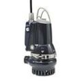 Grundfos Schmutzwasserpumpe 96877476 Grauguss, 10 m Kabel, DP10.50.09.E.2.1.502, R 2 AG