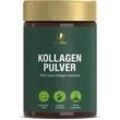 KOLLAGEN PULVER