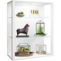 Wandregal VCM "olz Glas Stand Vitrine Sammelvitrine Glasol LW" Gr. 70, weiß, B:70cm H:90cm T:35cm, Holzwerkstoff, Holz, Spanplatte, Glas, Regale