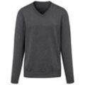 V-Pullover aus 100% Premium-Kaschmir Peter Hahn Cashmere grau, 58