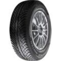 COOPER TIRES 255/45R20 105V - Discoverer Winter Winterreifen S620490