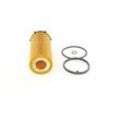 BOSCH Ölfilter mit Dichtungen 64mm für BMW 11427808443 F 026 407 094