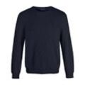 Rundhals-Pullover Louis Sayn blau