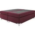 Boxspringbett "Holland", rot (bordeaux, rot), B:182cm L:201cm, Microvelours (100% Polyester), WESTFALIA SCHLAFKOMFORT, Komplettbetten, Boxspringbett, ohne Kopfteil, frei im Raum stellbar