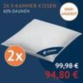 2x 3-Kammer-Kissen 80x80 cm - 60% Daunen, 40% Federn (Außen) mit stützendem Federkern für besten Schlafkomfort, Größe: 80 x 80 cm