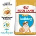 ROYAL CANIN Bulldog Puppy 12 kg