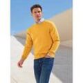 Rundhals-Pullover Peter Hahn gelb, 48