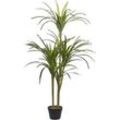 Kunstpflanze im Blumentopf 147 cm DRACAENA ANITA