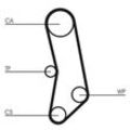 CONTINENTAL CTAM Wasserpumpe + Zahnriemensatz für FIAT LANCIA AUTOBIANCHI CT503WP1