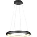 TRIO LEUCHTEN LED Pendelleuchte "CARDONA, LED Ring Hängeleuchte, 6900 Lumen 59W, Lichtfarbe einstellbar", schwarz (schwarz matt), 1 flammig, Ø 75,0cm H: 150,0cm,, Lampen, 2300/3000/4000K warmweiß bis kaltweiß, 3 Stufen dimmbar Höhe 150cm Ø75