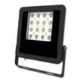 EVN Panthera LED-Außenstrahler IP65 30W 4.000K