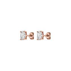 Brilliant Oval Studs 14k Rose Gold Plated