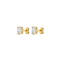 Brilliant Oval Studs 14k Gold Plated