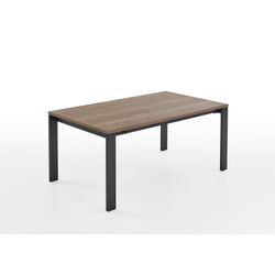 Esstisch HAMILTON (LBH 180x100x76 cm)