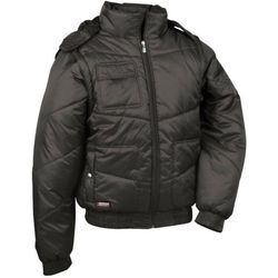 Cofra - 2 in 1 Winter-Steppjacke mit Kapuze anthrazit l - Grau