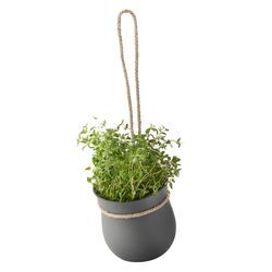 RIG-TIG by Stelton - Grow-It Kräutertopf, grau