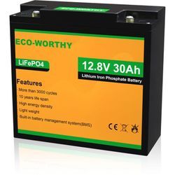 Eco-worthy - Lithium batterie 12V 30Ah LiFePO4 Akku mit über 3000+ Tiefzyklus und bms Schutz für Kinder Quad, Kinderfahrzeug, Außenborder, Wohnmobil,