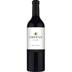 Crocus »Le Calcifère« Malbec