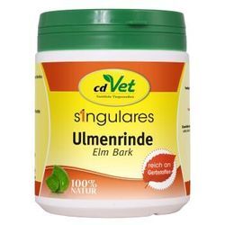 Singulares Ulmenrinde (europäisch)