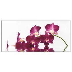 Küchenrückwand ARTLAND "Phalaenopsis Orchidee" Spritzschutzwände Gr. B/H: 110 cm x 50 cm, lila Küchendekoration Alu Spritzschutz mit Klebeband, einfache Montage