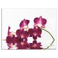 Küchenrückwand ARTLAND "Phalaenopsis Orchidee" Spritzschutzwände Gr. B/H: 80 cm x 60 cm, lila Küchendekoration Alu Spritzschutz mit Klebeband, einfache Montage