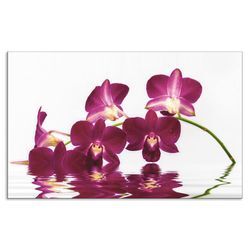 Küchenrückwand ARTLAND "Phalaenopsis Orchidee" Spritzschutzwände Gr. B/H: 80 cm x 50 cm, lila Alu Spritzschutz mit Klebeband, einfache Montage