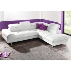 Ecksofa COTTA "Chef L-Form", weiß (altweiß), Sofas, B/H/T: 257cm x 72cm x 206cm, NaturLEDER, Ottomane rechts,mit Kopfteilverstellung-ohne Bettfunktion, Luxus-Microfaser (100% Polyester), Kunstleder Softlux, Leder Advantage (abgedecktes Spalt-Rindsleder), Rückseite mit schwarzem Spannstoff bezogen, NaturLEDER (echtes Rindsleder), Rückseite mit schwarzem Spannstoff bezogen, mit Kopfteilverstellung, 