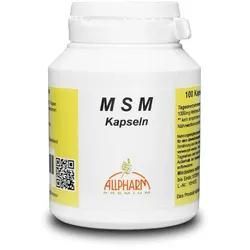 MSM 500 mg Kapseln 100 St