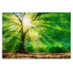 Tadessi - Leinwandbild Bäume Wald 60 x 90 cm - Wandbild Grün Braun - Keilrahmen Natur Wohnzimmerdeko Wanddeko Wandgemälde