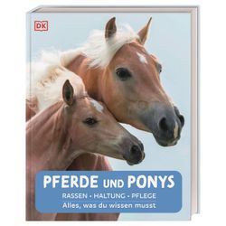 DK Verlag Pferde und Ponys