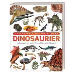 DK Verlag Unsere Welt in 1000 Bildern. Dinosaurier