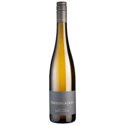 Bechtheim Riesling trocken (Bio) - 2019 - Dreissigacker - Deutscher Weißwein