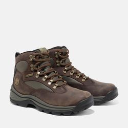 Wanderschuh TIMBERLAND "CHOCORUA MID LACE UP GTX HIKING BOOT", Gr. 37,5, braun (schwarz braun), Leder, Synthetik, sportlich, Schuhe