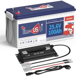 Timeusb - 24V100Ah LiFePO4 Akku Lithium Batterie+29,2V 20A Batterieladegerät für 24V LiFePO4 Batterie(Zwei Pakete verschickt)