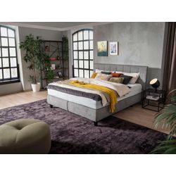 Boxspringbett ALINA "Edera", grau (dunkelgrau tcm 89), B:198cm L:212cm, Struktur fein TCM (100% Polyester), Komplettbetten, Boxspringbett, Doppelbett wahlweise mit Topper, Liegefläche 180x200 cm, mit Steppung