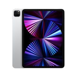 iPad Pro 11 (2021) 3. Generation 1000 GB - WLAN - Silber