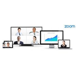 Zoom Meetings Business - Lizenz 1 Jahr (mind. 10 Stück) User Staffel: 500-999